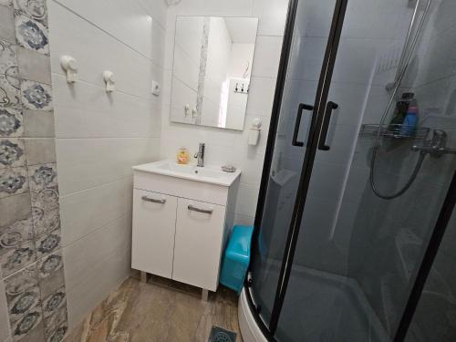 a bathroom with a shower and a sink at Apartman Marina in Zagorje