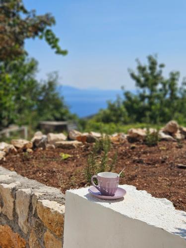 Afbeelding uit fotogalerij van Apartman Marina in Zagorje