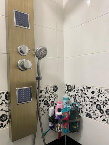 a shower in a bathroom with a door at Bob Residence & pool in Cluj-Napoca