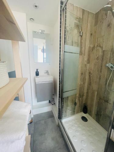 une salle de bain avec douche et lavabo dans l'établissement La Gare - Appartement face à la gare plein, centre, à Lille