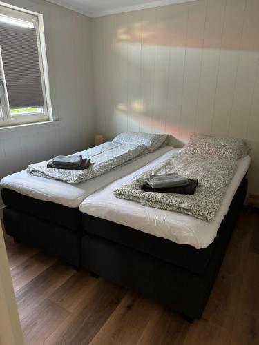 two beds sitting next to each other in a bedroom at Huisje Aangenaam in Dirkshorn