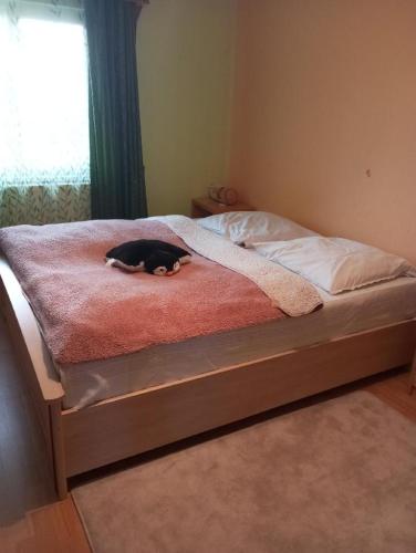 a cat laying on a bed in a bedroom at Patro u Madly in Chotěšov