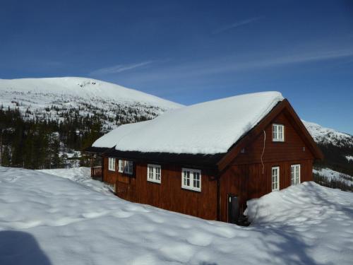 a building covered in snow with snow on the roof at Ny hytte i flott turterreng in Nore