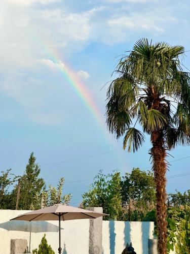 a rainbow in the sky next to a palm tree at Sunny Kvareli in Kvareli