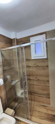 a bathroom with a shower with a toilet and a window at Myrteni apartment in Nea Peramos