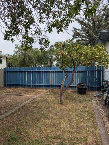 a tree in front of a blue fence at Stay RV Redcliff in Redcliff