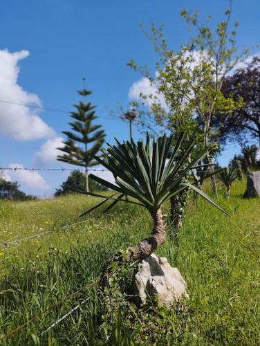 Φυσικό τοπίο κοντά σε αυτή η παραθεριστική κατοικία