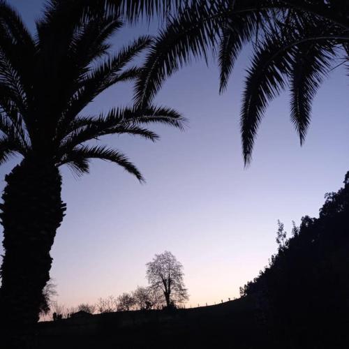 Φυσικό τοπίο κοντά σε αυτή η παραθεριστική κατοικία