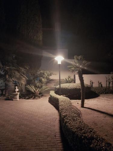a street light with a palm tree in a park at night at De La Grace in Potchefstroom