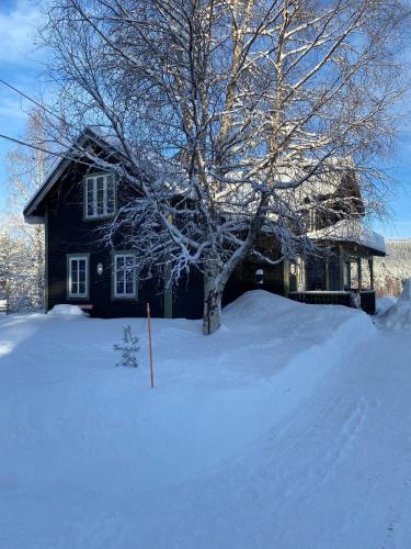 Gammel Lans by Norgesbooking - lovely cabin in Trysil v zimě