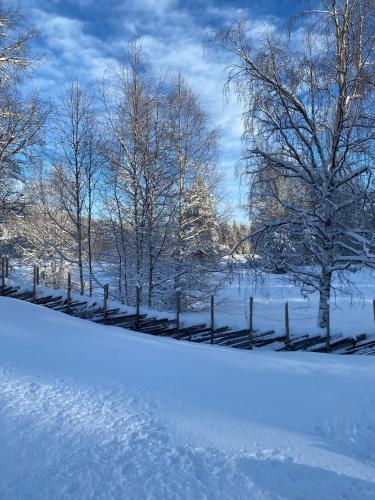 Gammel Lans by Norgesbooking - lovely cabin in Trysil v zimě
