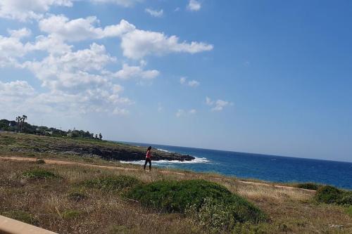 a person is flying a kite on the beach at Appartement dans le centre historique in Alliste