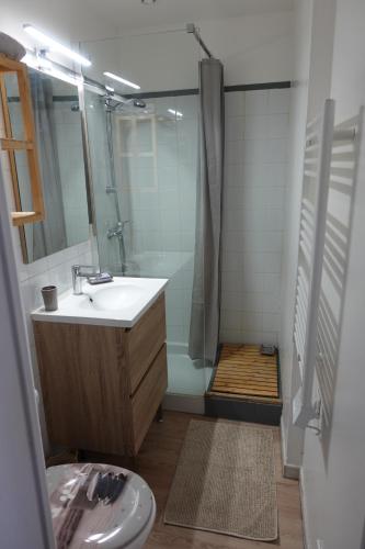 une salle de bain avec un lavabo et une douche dans l'établissement Studio climatisé avec balcon à 10 mn des plages, à Saint-Raphaël