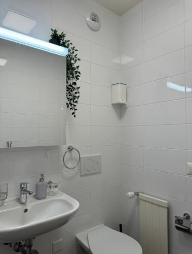 Modernité et confort à Genève