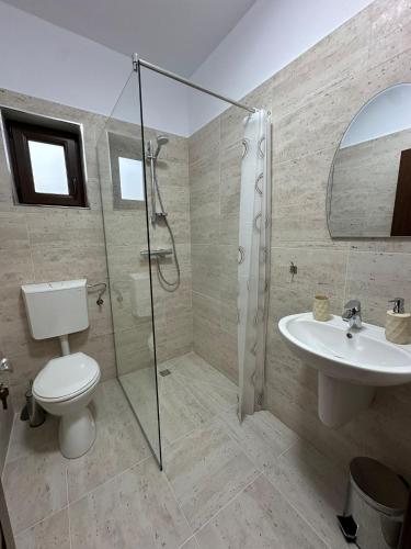 a bathroom with a shower and a toilet and a sink at Casa Anto in Călimăneşti