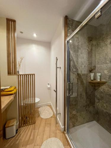 une salle de bain avec douche et toilettes dans l'établissement Cyprès du château, à Le Barroux