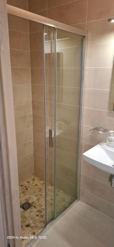 a shower with a glass door next to a sink at Šventojoje Parko 10 in Palanga