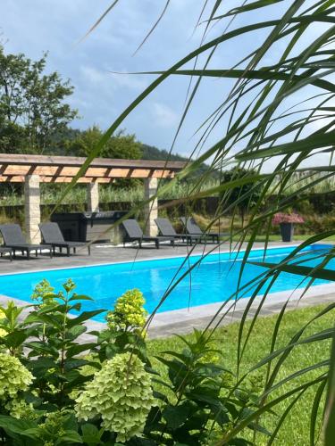 a view of a swimming pool with some plants at Sarnia Polana in Kostrzyca
