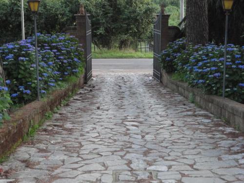 a stone walkway with blue flowers and a gate at Tenuta Montelaura in Forino