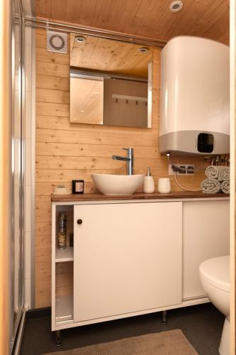 a bathroom with a sink and a toilet at Aurora Green Hill in Podobin