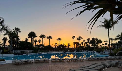 a pool with chairs and palm trees at sunset at Prime garden-view Studios in Arona