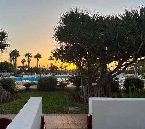 a bench in a park with palm trees and a pool at Prime garden-view Studios in Arona