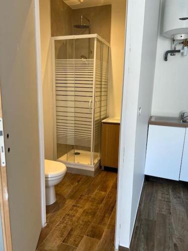 une salle de bain avec toilettes et douche en verre dans l'établissement Studio indépendant tout équipé, aux Pennes-Mirabeau