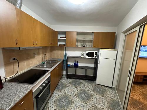 a small kitchen with a sink and a refrigerator at Tirana Lemon Breeze Hostel in Tirana