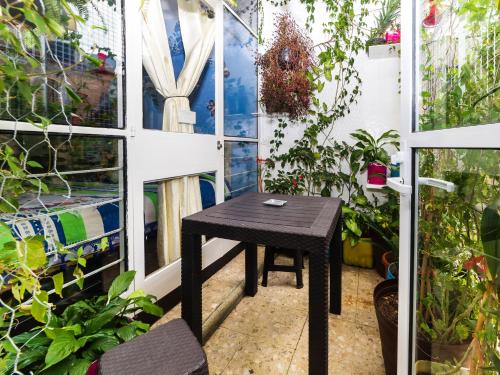 a black table in a greenhouse with plants at Casa Itzae B&B Polanquito Dog Friendly in Mexico City