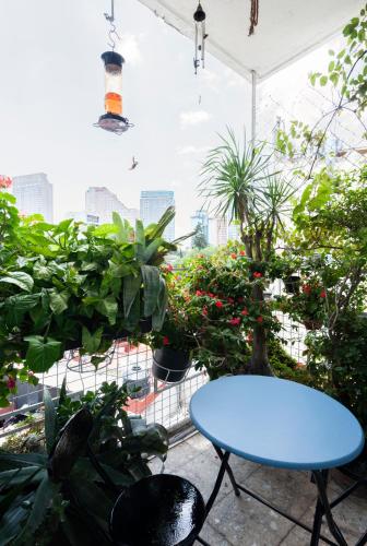 a blue table in a garden with plants at Casa Itzae B&B Polanquito Dog Friendly in Mexico City