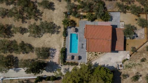 Πισίνα στο ή κοντά στο Altane Villa