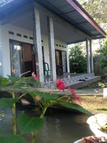 a house with a pond in front of it at Zian guest house in Seganteng