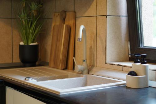 Un fregadero de cocina con un grifo sobre una encimera en Villa Hanna's Garden - Mintia, en Mintia