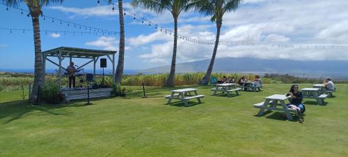 people sitting at picnic tables in a park with palm trees at CampCar Maui Jeeps SUVs Hybrid Camper van Rentals with equipment and Travel Advice in Kahului
