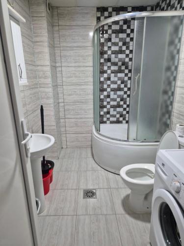 a bathroom with a shower and a toilet and a sink at Pasha Apartment in Skopje