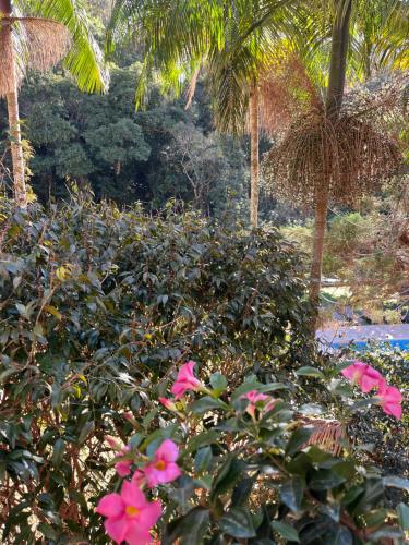 a garden with pink flowers and palm trees at Apart-hotel Cantinho da Serra in Nova Friburgo