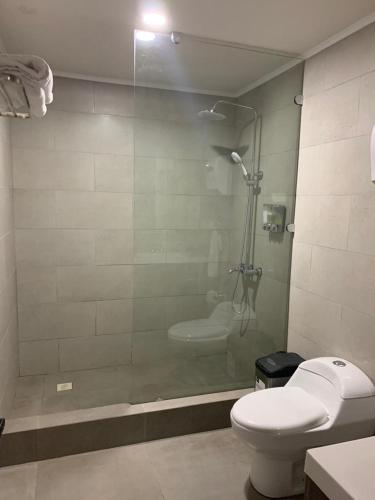 a bathroom with a glass shower with a toilet at Hotel Boutique Grand Cru in Santa Cruz