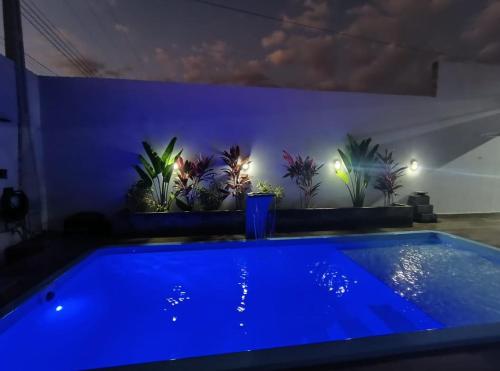 a blue swimming pool in a room with plants at Garden in Viracopos