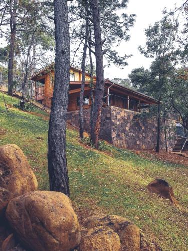 a house on a hill with a tree and rocks at Cabañas Santa Barbara in Mazamitla