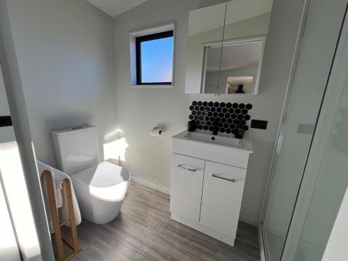 a bathroom with a toilet and a sink and a mirror at Mountain Cabin - central, cosy and cute with views in Wanaka