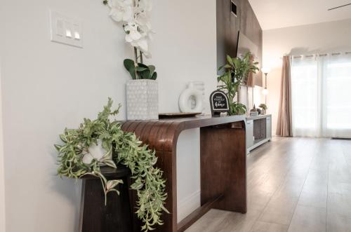 a kitchen with a counter with plants on it at Hidden Gem with Heated Pool - Perfect for Family Getaway - Pet-friendly in Fort Myers