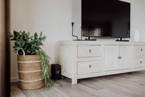 a dresser with a television and a potted plant at Acreage property, pet friendly, outdoor campfire in Bald Knob