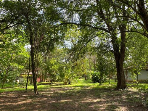a group of trees in a park with a house at Calm Garden Cabanas in Tangalle