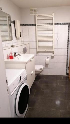 a bathroom with a toilet and a sink and a washing machine at Hasenbau Flüren in Wesel