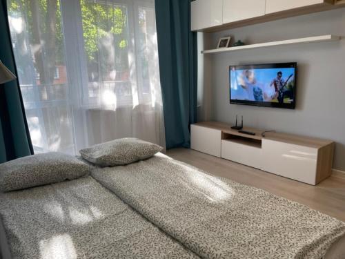 Μια τηλεόραση ή/και κέντρο ψυχαγωγίας στο Apartament VADUZ