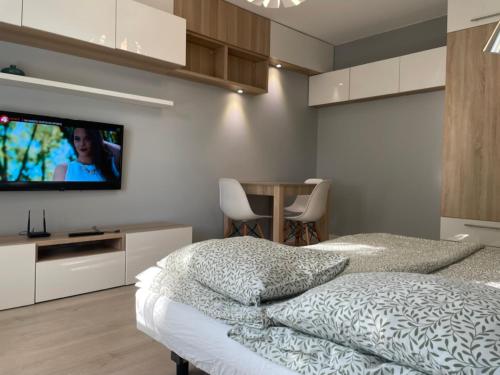 Μια τηλεόραση ή/και κέντρο ψυχαγωγίας στο Apartament VADUZ