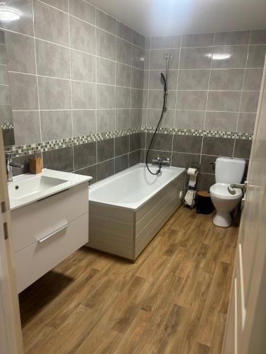 une salle de bain avec une baignoire, des toilettes et un lavabo dans l'établissement Maison de ville, à Listrac-Médoc