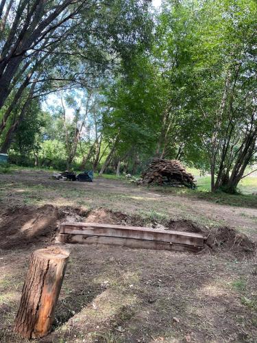 a log in the middle of a field with trees at Camping Baleia in Pui