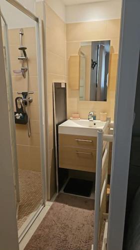 une petite salle de bain avec un lavabo et une douche dans l'établissement Hyper Centre Bandol Agréable t4 piscine chauffer clim Parking wifi, à Bandol