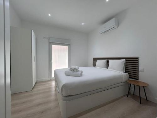 Large Apartment in Madrid - Boto